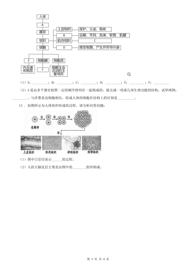 浙教版七年级上册 第二章 第2节 细胞同步测试科学试卷_第3页