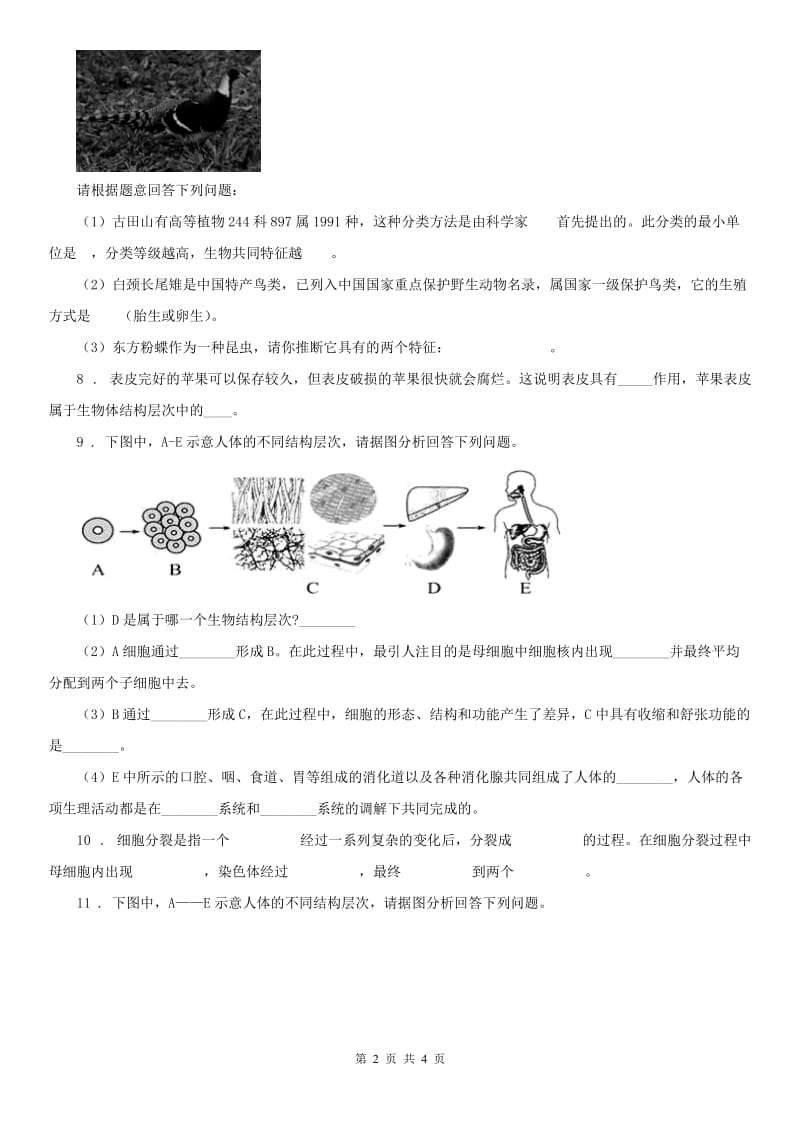 浙教版七年级上册 细胞分裂分化、动植物组织与器官、常见的动物科学试卷_第2页