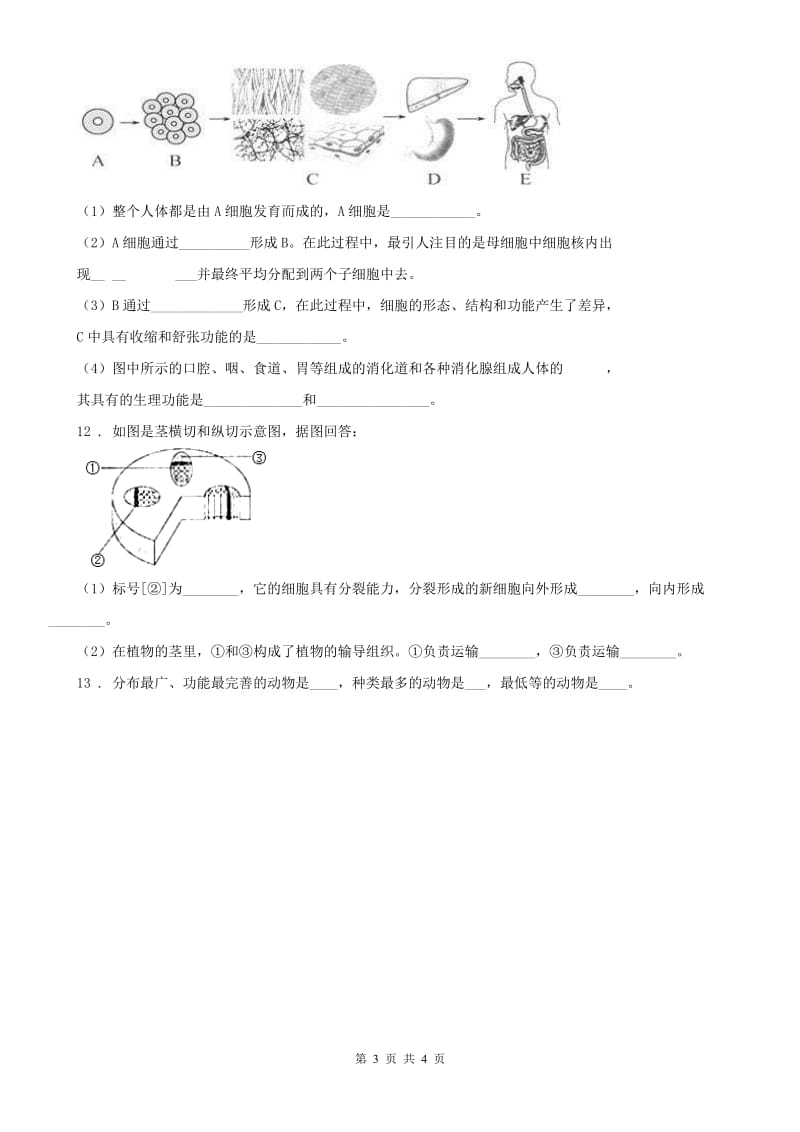 浙教版七年级上册 细胞分裂分化、动植物组织与器官、常见的动物科学试卷_第3页