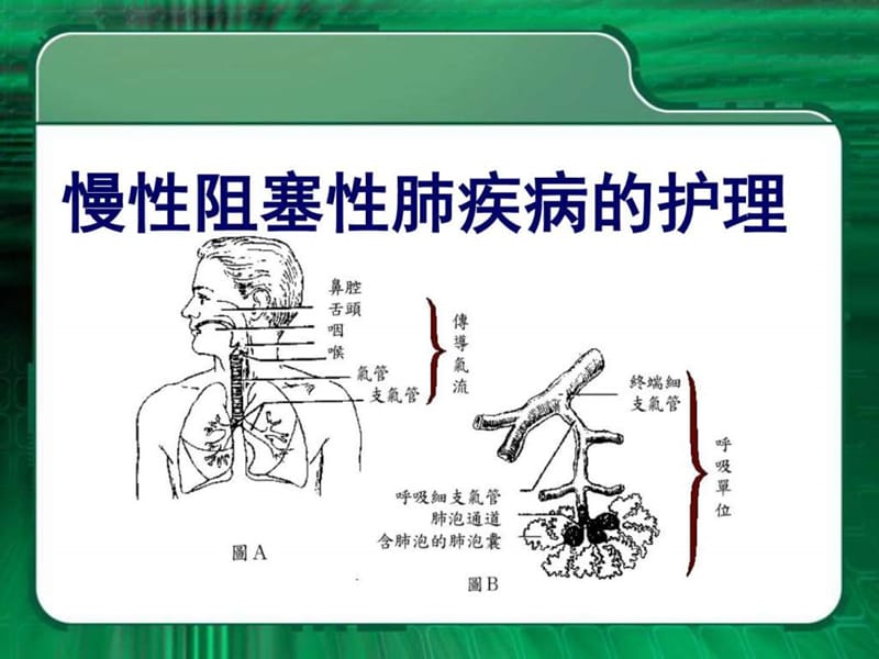 老年人呼吸系统常见疾病的护理_第1页