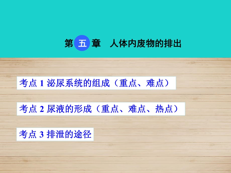 中考生物 考点梳理 第四单元 第五章 人体内废物的排出课件 新人教版_第1页