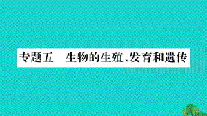 中考生物總復習 知能綜合突破 專題5 生物的生殖 發(fā)育 遺傳課件 北師大版