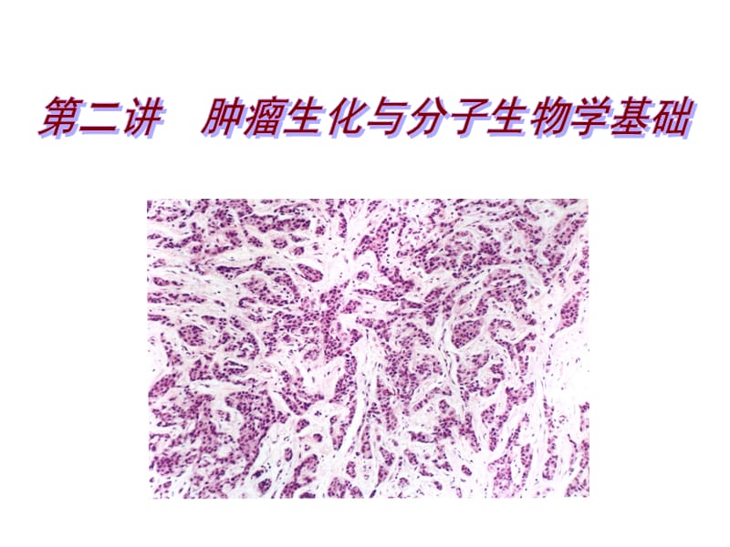 肿瘤生化与分子生物学基础_第1页