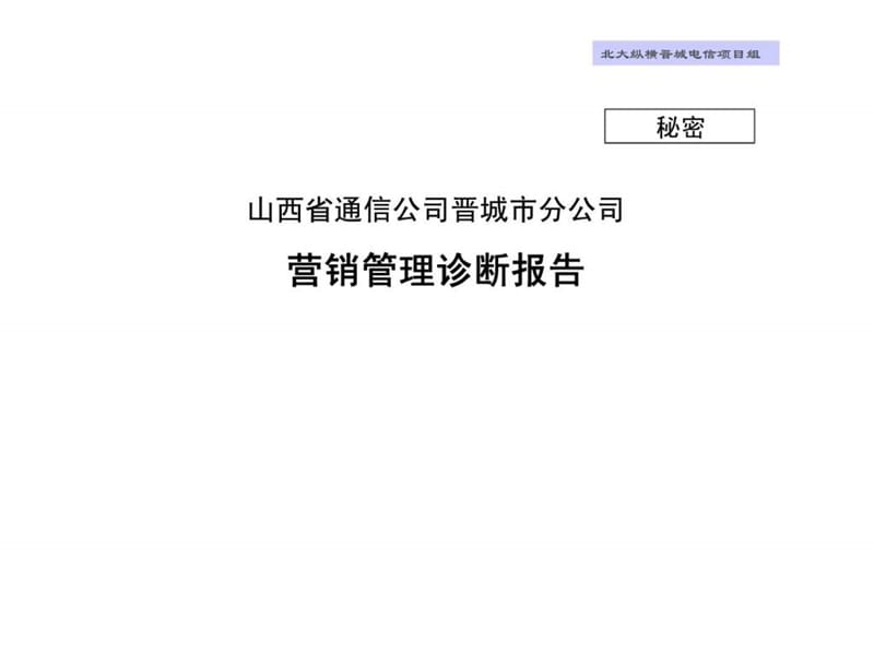 营销管理诊断报告_第1页