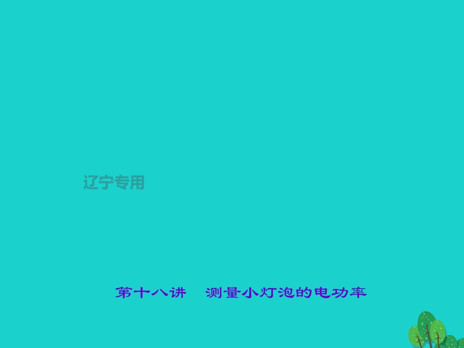 中考物理總復習 第十八講 測量小燈泡的電功率課件1_第1頁