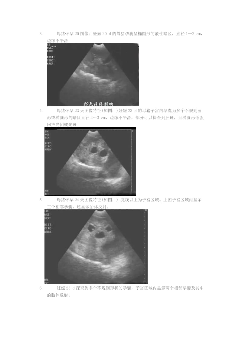 猪用B超机使用方法图文详解_第3页