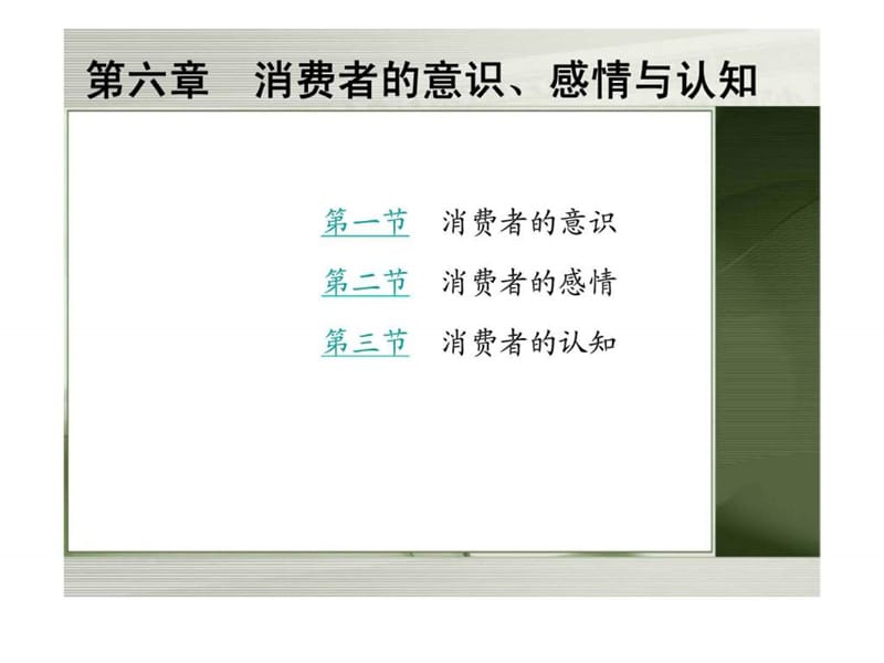 消费者行为学（姚山季）第六章消费者的意识丶感情与认知_第1页