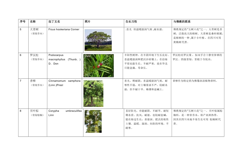 与佛教有关的植物(按乔木灌木分)_第2页