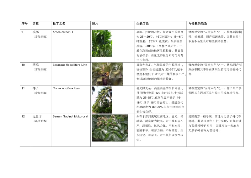 与佛教有关的植物(按乔木灌木分)_第3页