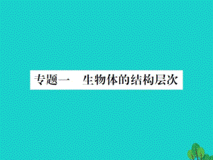 中考生物总复习 知能综合突破 专题1 生物体的结构与层次课件 新人教版