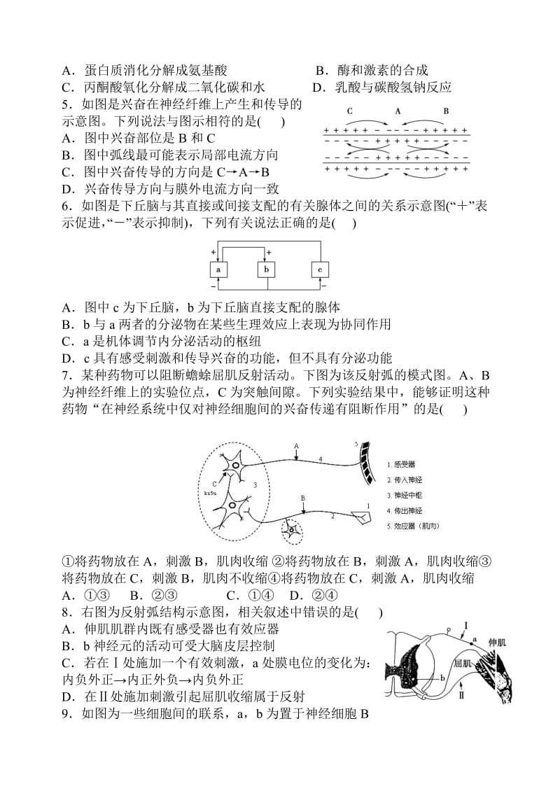 新人教版生物必修三试题及答案_第2页