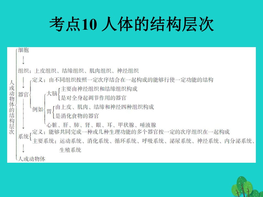 中考生物 第2單元 考點(diǎn)10 人體的結(jié)構(gòu)層次課件 新人教版_第1頁(yè)