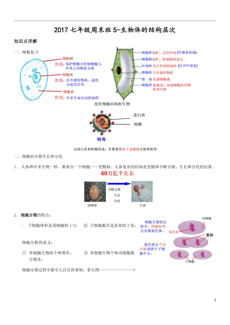 浙教版科学七年级上第二章生物体的结构层次_第1页