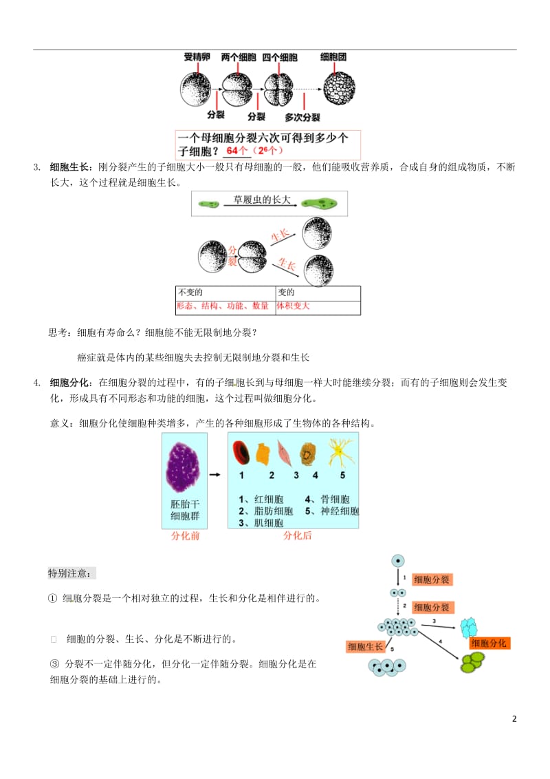 浙教版科学七年级上第二章生物体的结构层次_第2页