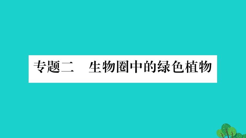 中考生物总复习 知能综合突破 专题2 生物圈中的绿色植物课件 北师大版_第1页