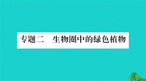 中考生物總復習 知能綜合突破 專題2 生物圈中的綠色植物課件 北師大版