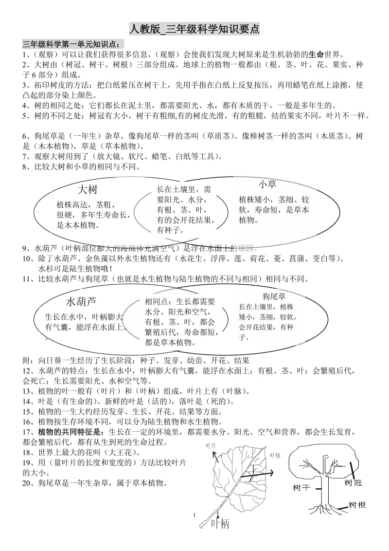 最全的人教版三年级科学知识要点精心整理_第1页