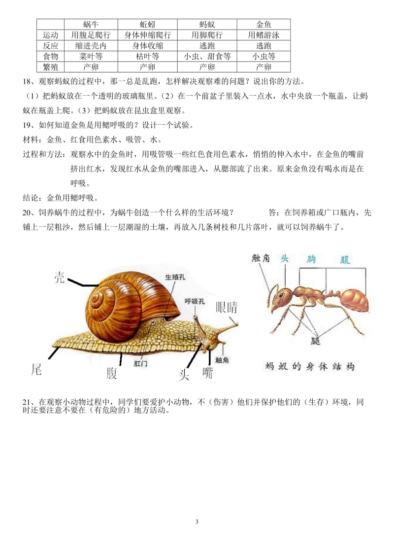 最全的人教版三年级科学知识要点精心整理_第3页