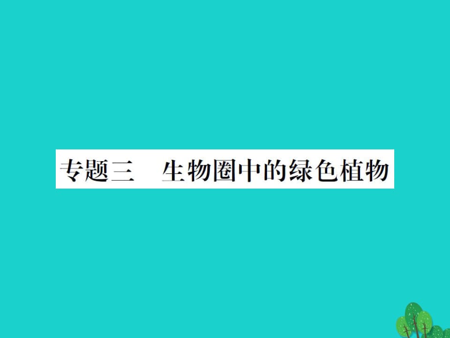 中考生物总复习 知能综合突破 专题3 生物圈中的绿色植物课件 新人教版_第1页