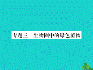 中考生物總復習 知能綜合突破 專題3 生物圈中的綠色植物課件 新人教版