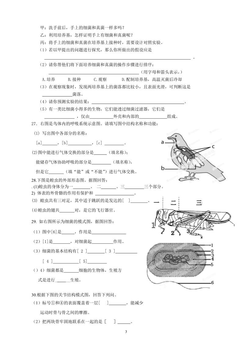 最新人教版八年级上册生物期末考试试卷_第3页