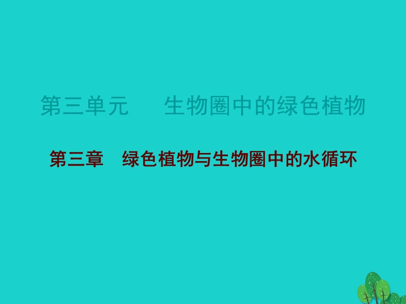 中考生物 第三单元 第三章 绿色植物与生物圈中的水循环复习课件1_第1页