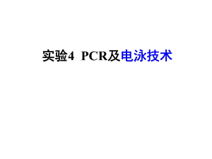 实验四+PCR及电泳技术