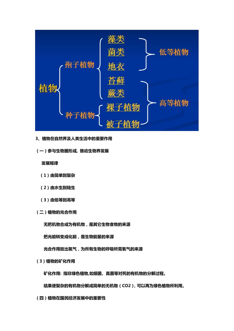 植物学考研笔记(超详细)_第3页