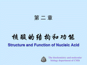 核酸的结构与功能