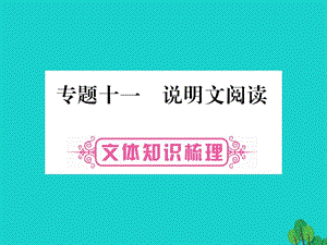 中考語(yǔ)文 第二輪專題突破復(fù)習(xí) 專題十一 說(shuō)明文閱讀課件1