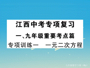 九年級數(shù)學(xué)下冊 專項訓(xùn)練一 一元一次方程課件 （新版）新人教版