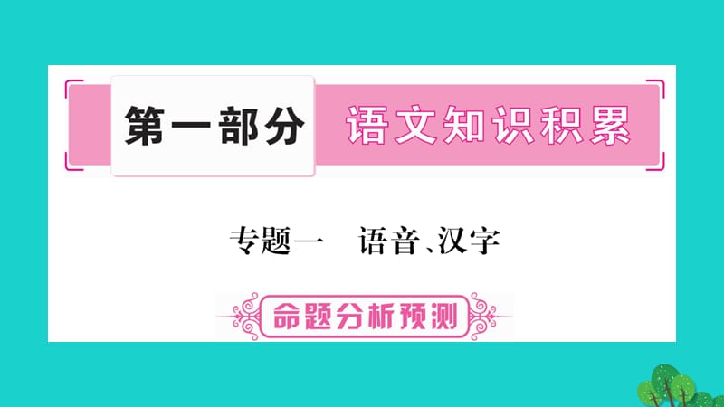 中考语文总复习 专题1 语音、汉字课件1_第1页