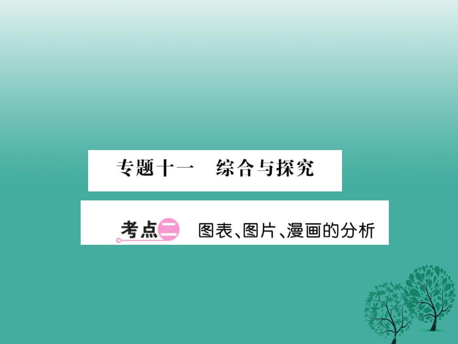 中考語文總復(fù)習(xí) 專題十一 綜合與探究 考點(diǎn)2課件 語文版