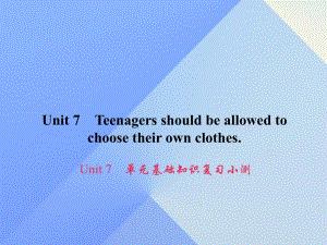 九年級英語全冊 Unit 7 Teenagers should be allowed to choose their own clothes基礎知識復習小測課件 （新版）人教新目標版