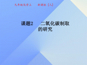 九年級(jí)化學(xué)上冊(cè) 6_2 二氧化碳制取的研究課件 （新版）新人教版