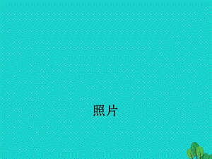 八年級歷史上冊 第二單元 第11課 社會生活的變遷課件 北師大版