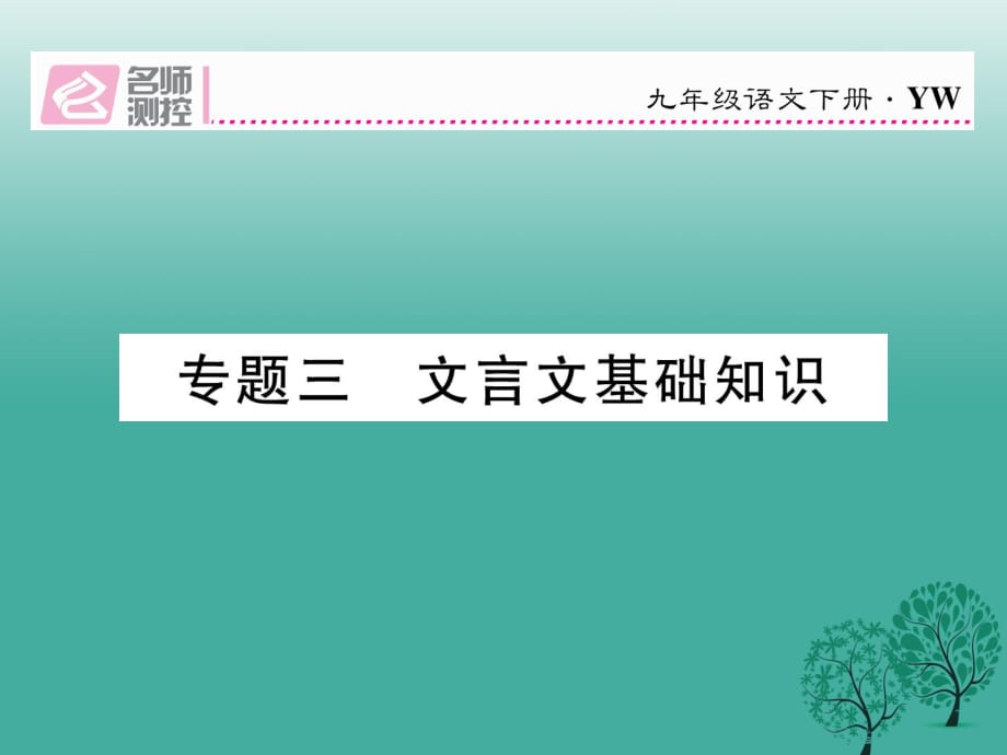 九年級語文下冊 專題復(fù)習(xí)三 文言文基礎(chǔ)知識課件 （新版）語文版_第1頁