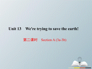 九年級(jí)英語(yǔ)全冊(cè) Unit 13 We're trying to save the earth（第2課時(shí)）Section A（3a-3b）課件 （新版）人教新目標(biāo)版