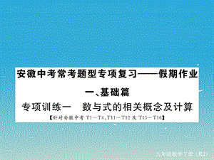 九年級數(shù)學下冊 專項訓練一 數(shù)與式的相關概念及計算課件 （新版）新人教版