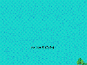 九年級英語全冊 Unit 2 I think that mooncakes are delicious Section B（2a-2e）習題課件 （新版）人教新目標版