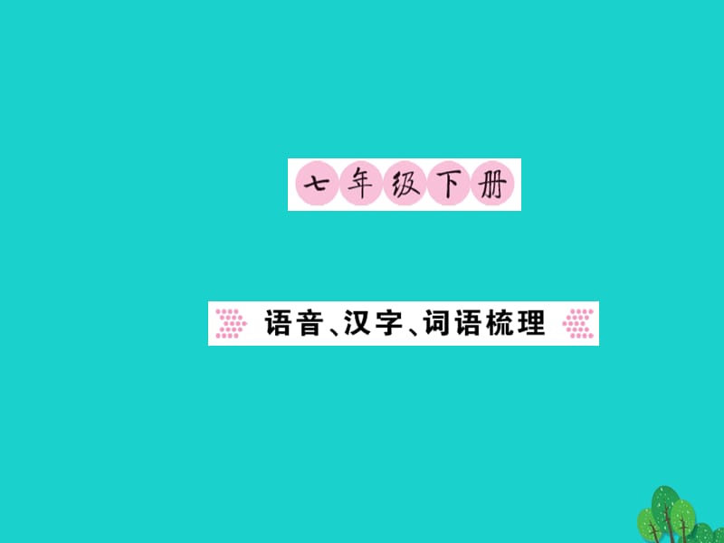 中考语文 七下 语音、汉字、词语梳理课件1_第1页