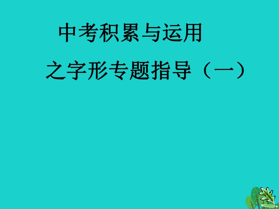 九年级语文复习 语音与汉字 语音(汉字)课件_第1页