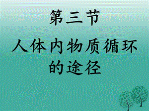 中考生物試題研究 血液循環(huán)課件