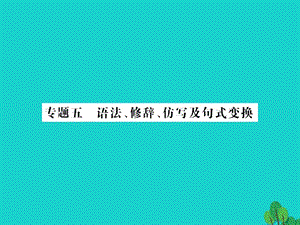 中考語文 第一部分 積累與應(yīng)用 專題五 語法、修辭、仿寫及句式變換課件1