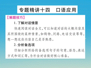 中考英語總復習 專題精講十四 口語應用課件