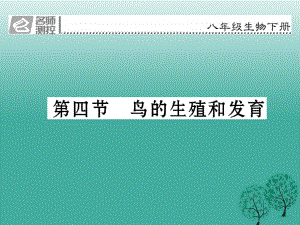 八年級生物下冊 第七單元 第一章 第四節(jié) 鳥的生殖和發(fā)育課件 （新版）新人教版 (2)