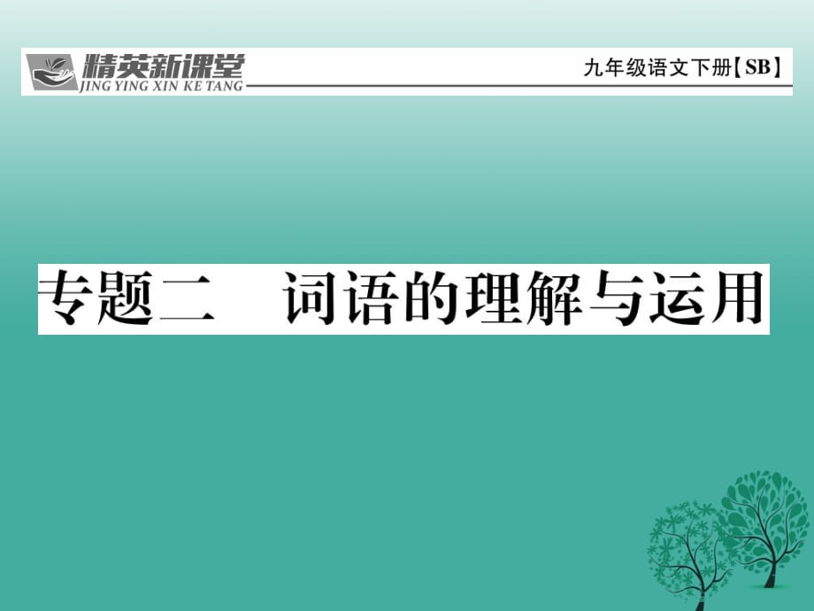 九年級(jí)語(yǔ)文下冊(cè) 專題復(fù)習(xí)二 詞語(yǔ)的理解與運(yùn)用課件 （新版）蘇教版_第1頁(yè)