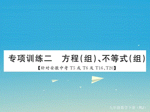 九年級數(shù)學下冊 專項訓練二 方程（組）、不等式（組）課件 （新版）新人教版