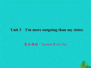 八年級英語上冊 Unit 3 I'm more outgoing than my sister（第5課時）Section B（2a-2e）習(xí)題課件 （新版）人教新目標(biāo)版 (2)