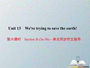 九年级英语全册 Unit 13 We're trying to save the earth（第6课时）Section B（3a-3b）同步作文指导课件 （新版）人教新目标版